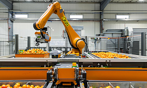 Применение промышленных роботов в пищевой промышленности: выгоды для производства